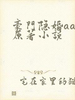 豪门隐婚aa制原著小说