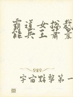 霸道女总裁的全能兵王萧晨