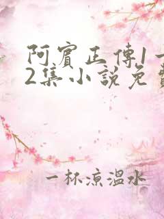 阿宾正传1一72集小说免费阅读