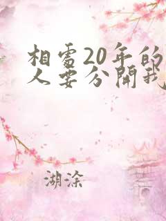 相处20年的情人要分开我痛苦