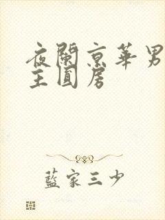 夜阑京华男主女主圆房