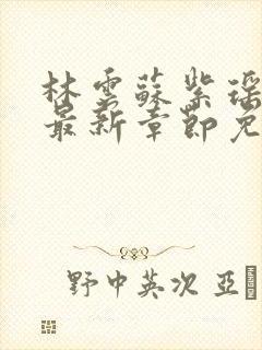 林云苏紫瑶小说最新章节免费阅读全文