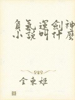 负气运剑神原著小说叫什么