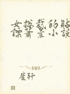 女总裁的贴身保镖萧晨小说