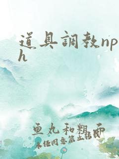道具调教np高h