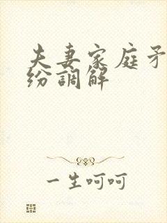 夫妻家庭矛盾纠纷调解