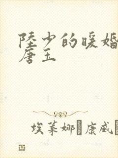 陆少的暖婚新妻唐玉