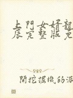 上门女婿龙婿叶辰完整版免费收听