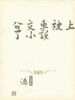 公交车被上高潮了小说