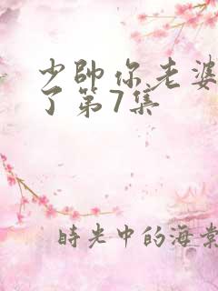 少帅你老婆又跑了第7集