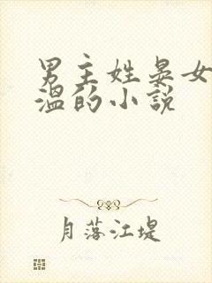 男主姓晏女主姓温的小说