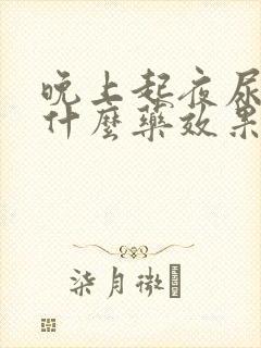 晚上起夜尿多吃什么药效果更好