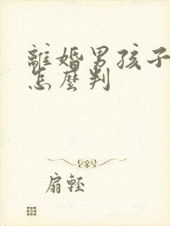 离婚男孩子5岁怎么判