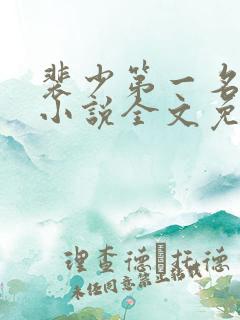 裴少第一名媛妻小说全文免费阅读
