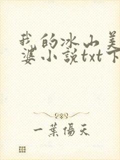 我的冰山美女老婆小说txt下载