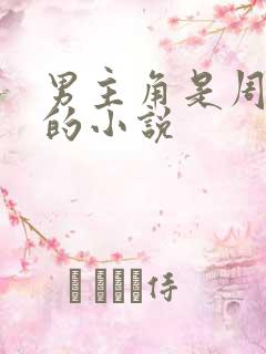 男主角是周轻羽的小说