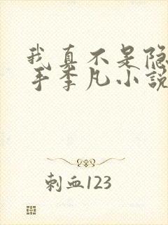 我真不是隐世高手李凡小说免费阅读