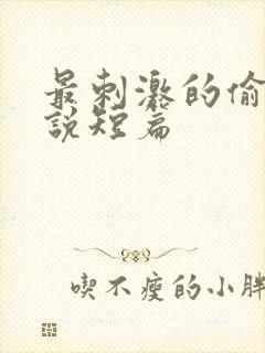 最刺激的偷人小说短篇