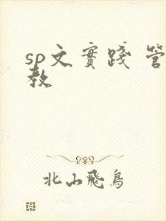 sp文实践 管教