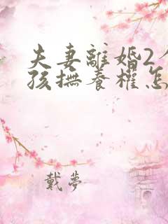 夫妻离婚2个小孩抚养权怎么判