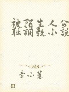 被陌生人公开羞耻调教小说