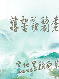 请和我的老公结婚电视剧免费观看