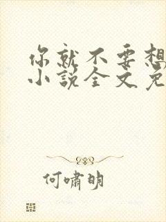 你就不要想起我小说全文免费阅读