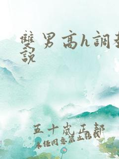 双男高h调教小说