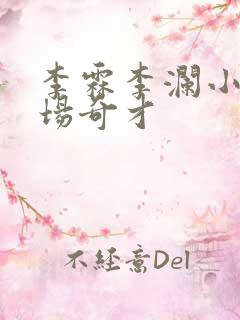 李霖李澜小说官场奇才