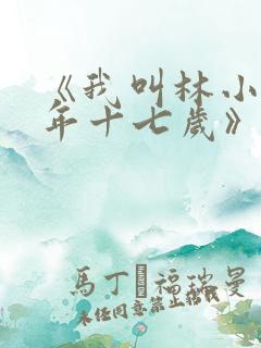 《我叫林小喜今年十七岁》