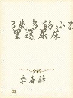 3岁多的小孩夜里还尿床