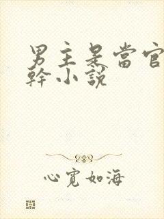 男主是当官的高干小说