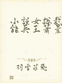 小说女总裁的全能兵王萧晨在那里更新