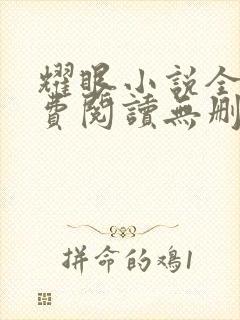 耀眼小说全文免费阅读无删减