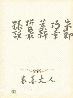 孙哲叶巧朱颜小说最新章节