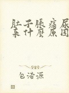 肚子胀痛尿不出来什么原因