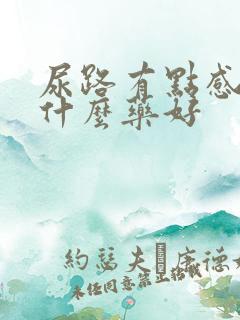 尿路有点感染吃什么药好