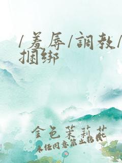 /羞辱/调教/捆绑