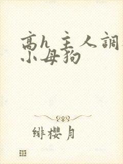 高h 主人调教小母狗