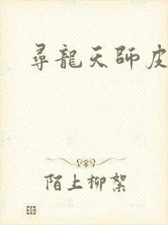 寻龙天师皮剑青