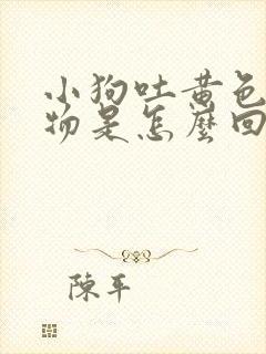 小狗吐黄色呕吐物是怎么回事