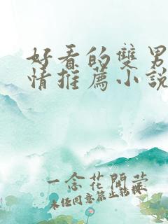 好看的双男主言情推荐小说