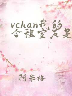 vchan我的合租室友是不是过于