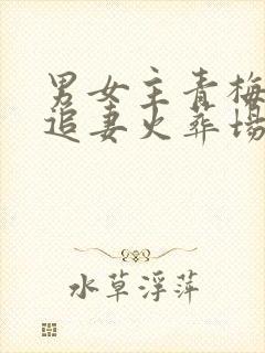 男女主青梅竹马追妻火葬场的甜文