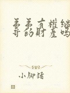 弟弟有权继承哥哥的财产吗