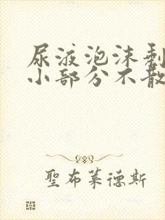 尿液泡沫剩下一小部分不散