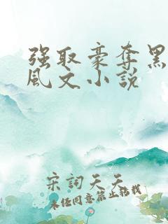 强取豪夺黑道港风文小说