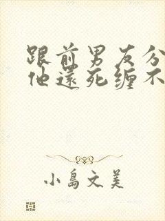 跟前男友分手了他还死缠不放