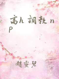 高h 调教 np
