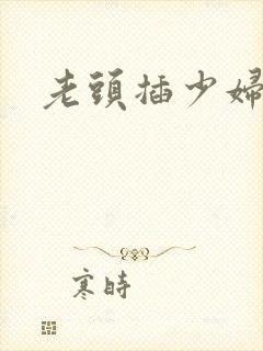 老头插少妇小说